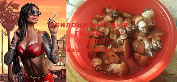 гидропоника Богородск