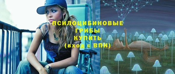 гидропоника Богородск