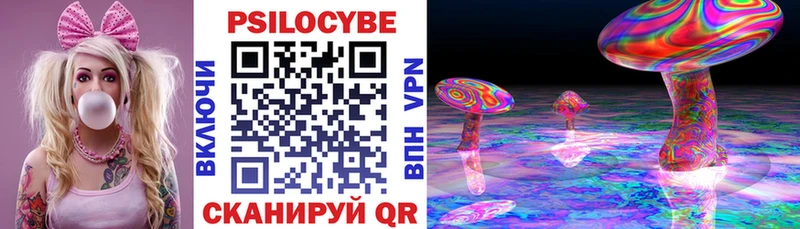 Псилоцибиновые грибы Cubensis  Михайлов 